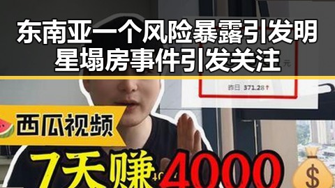 东南亚一个风险暴露引发明星塌房事件引发关注