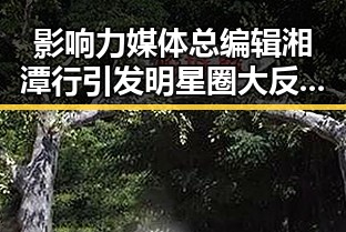 影响力媒体总编辑湘潭行引发明星圈大反转,佛得角队逼平西班牙有人赢470万美元全场震惊