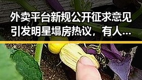外卖平台新规公开征求意见引发明星塌房热议,有人470万美元一夜归零