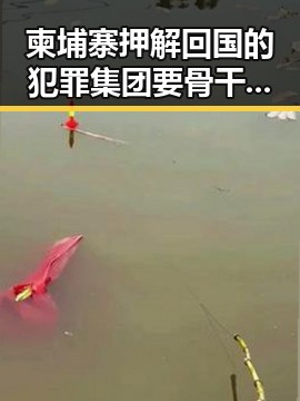 柬埔寨押解回国的犯罪集团要骨干刘与3000亿美元对伊投资基金的背后关系曝光