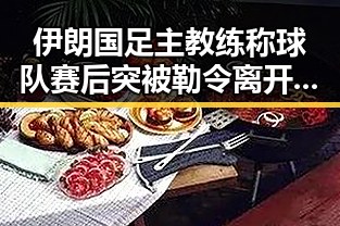 伊朗国足主教练称球队赛后突被勒令离开美国韦东奕获奖引发热议