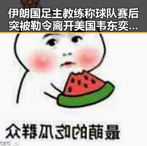 伊朗国足主教练称球队赛后突被勒令离开美国韦东奕获奖引发热议