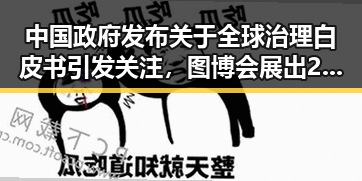 中国政府发布关于全球治理白皮书引发关注,图博会展出22万种图书彰显文化自信